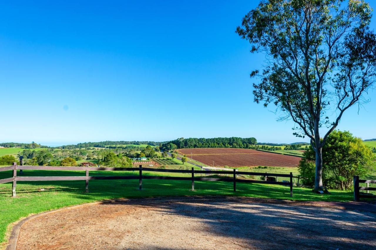 Mountain Dorrigo