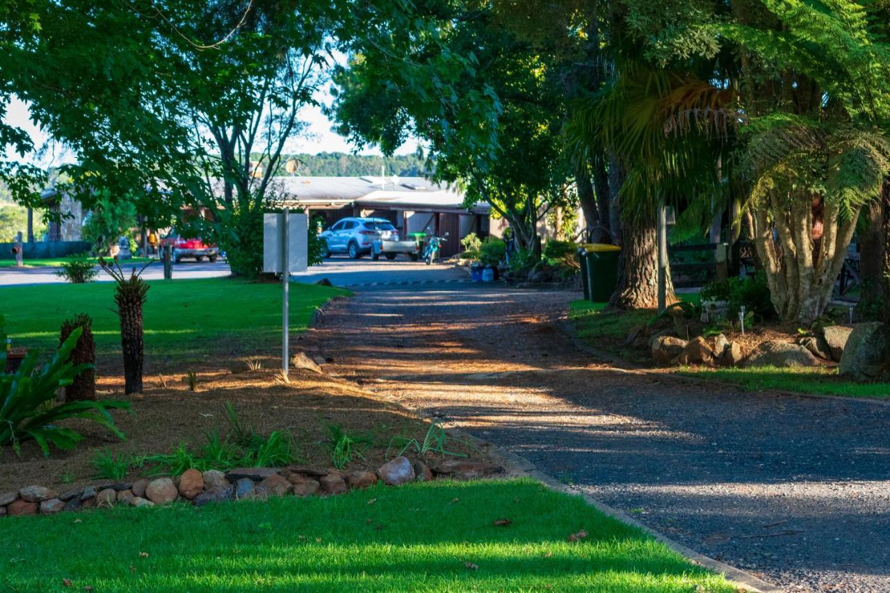 Mountain Campsite Dorrigo